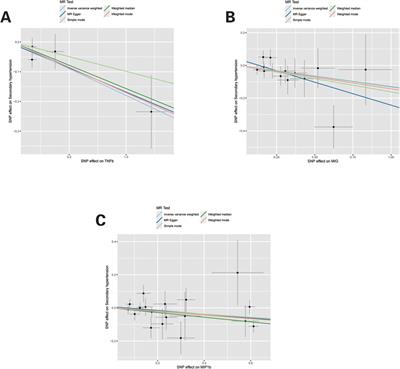 A Mendelian randomization study on the association between systemic inflammatory regulators and essential and secondary hypertension